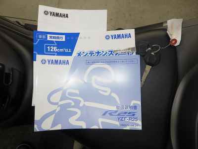 Yamaha YZF-R25 2016