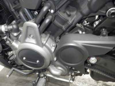Harley-Davidson Nightster RH975S 2023