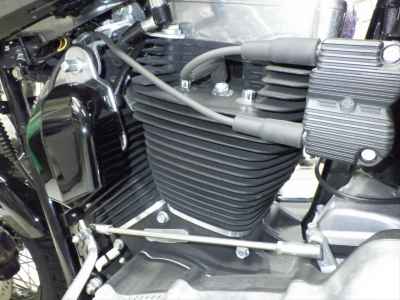 Harley-Davidson Slim FLS1580 2015