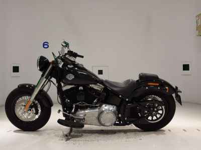 Harley-Davidson Slim FLS1580 2015