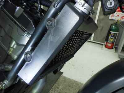 Honda CL250 2023