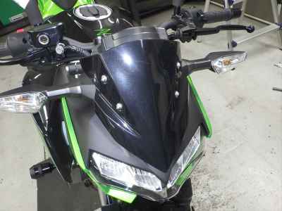 Kawasaki Z250 2023