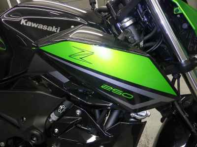 Kawasaki Z250 2023