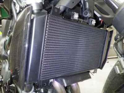 Kawasaki Z250 2023
