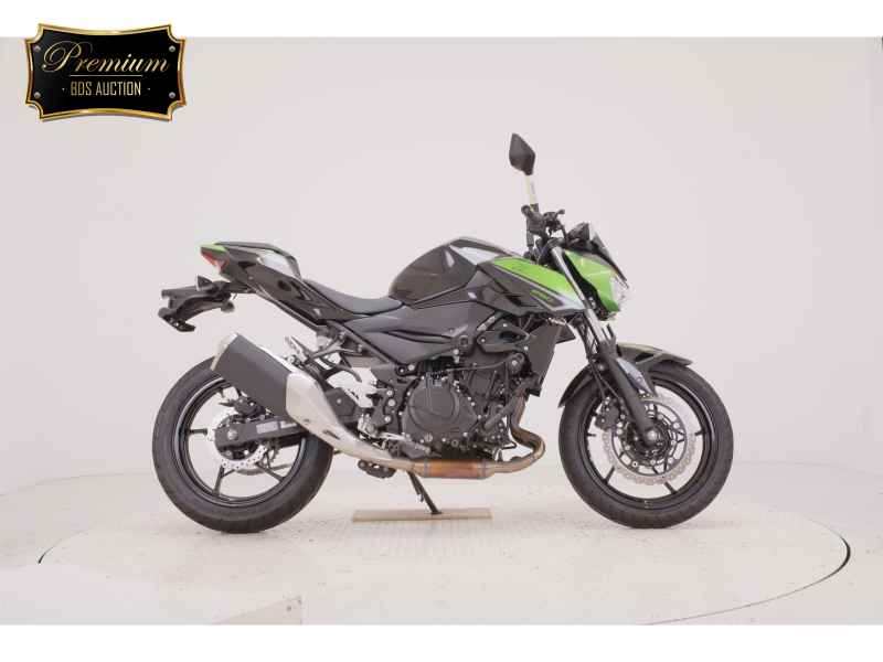Kawasaki Z250 2023