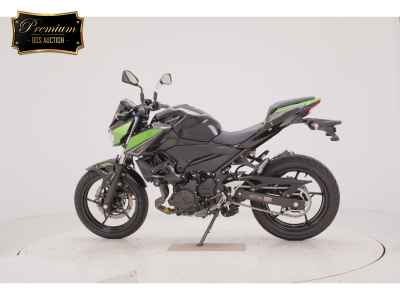 Kawasaki Z250 2023