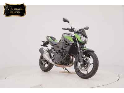 Kawasaki Z250 2023