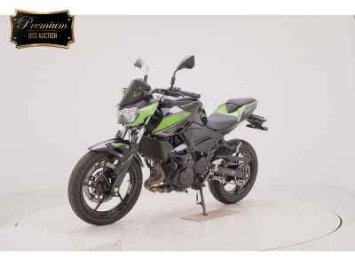 Kawasaki Z250 2023