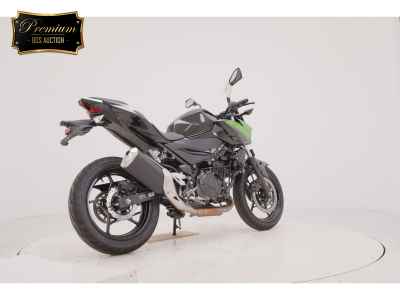 Kawasaki Z250 2023