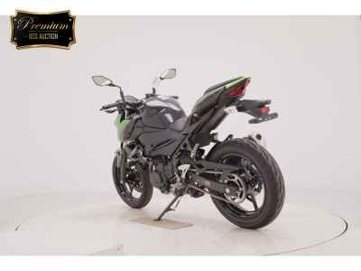 Kawasaki Z250 2023