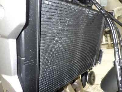 Triumph Trident 660 2021