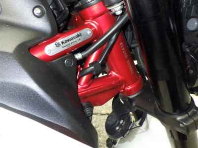 Kawasaki Z900 2022