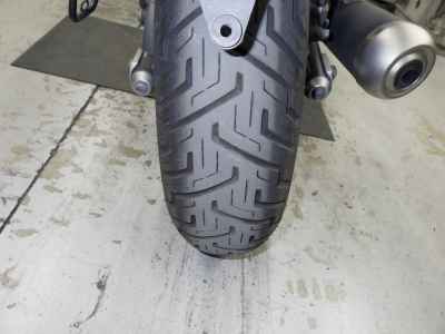 Honda Rebel CMX250 2019