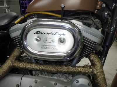 Harley-Davidson Sportster XL1200S 2002