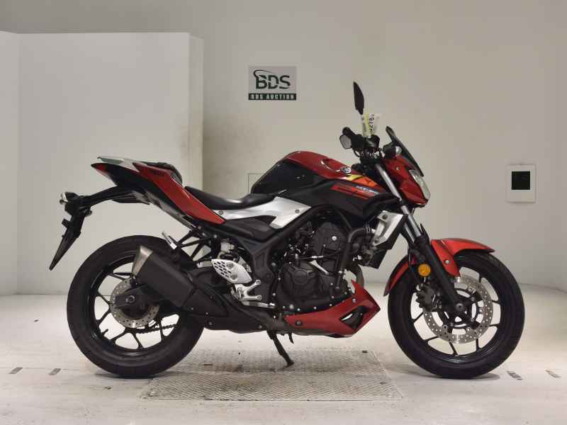 Yamaha MT-25 2016