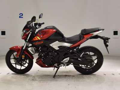 Yamaha MT-25 2016