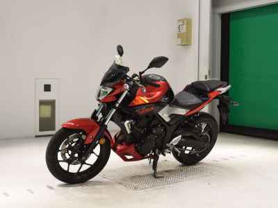 Yamaha MT-25 2016