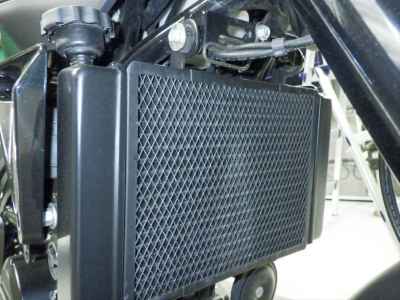 Benelli Leoncino 250 2020