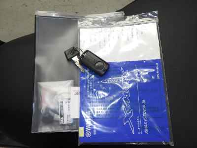 Yamaha XMAX 250 2024