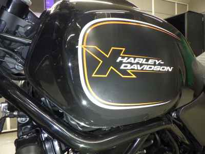 Harley-Davidson X500 2024