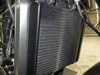 Harley-Davidson X500 2024