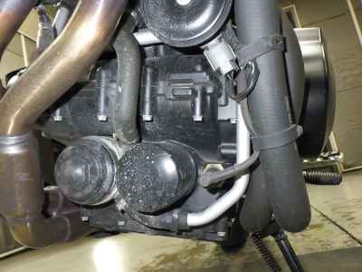Harley-Davidson X500 2024