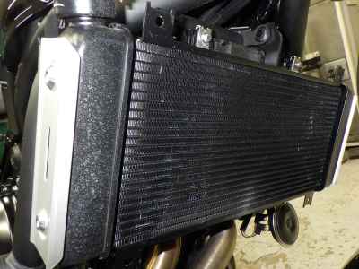 Kawasaki Z650RS 2024
