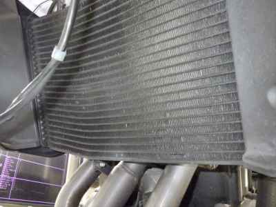 Triumph Tiger 800 XR 2008