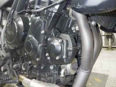 Triumph Tiger 800 XR 2008