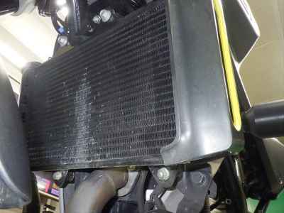 Husqvarna Svartpilen 401 2020