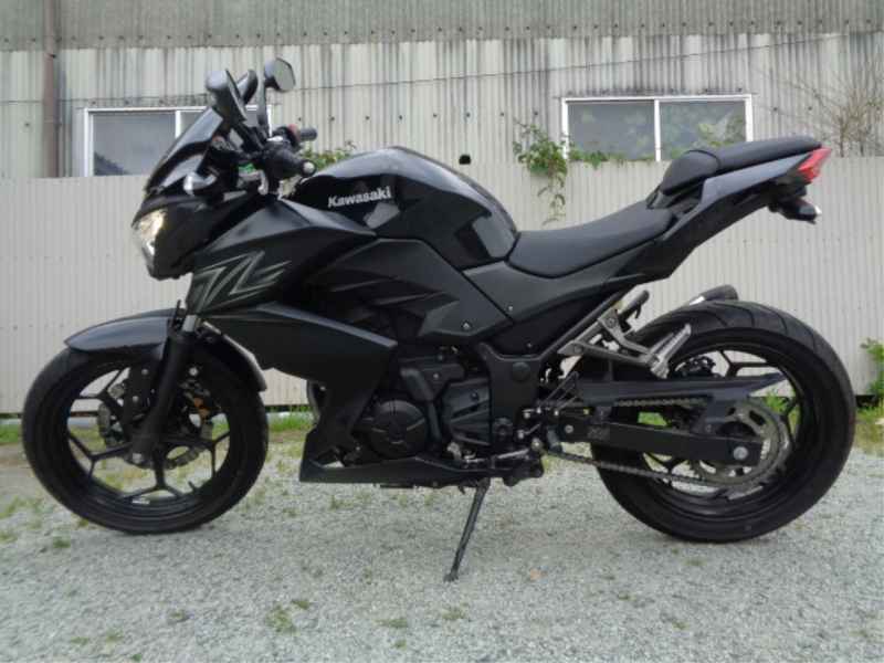 Kawasaki Z250 2013