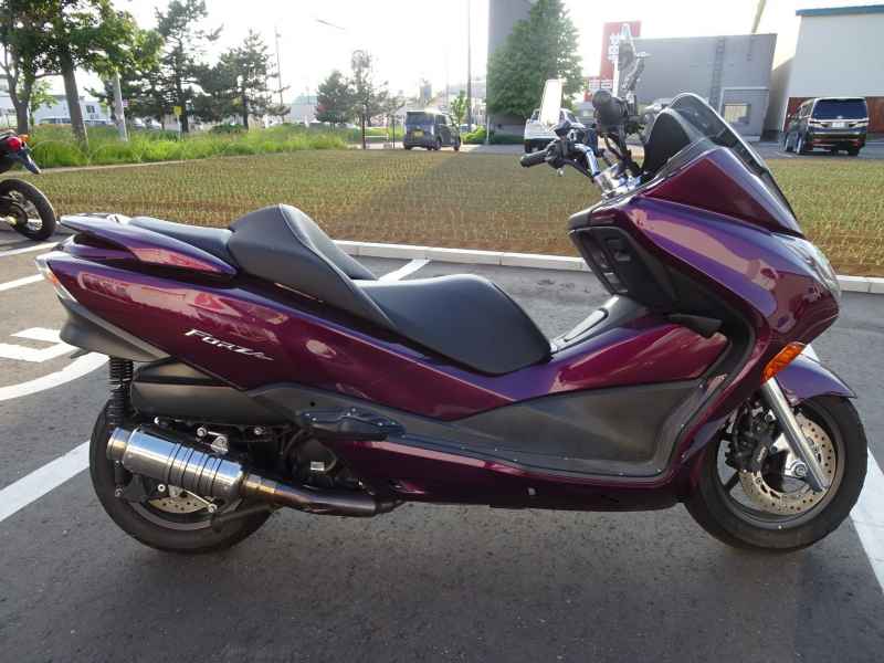 Honda Forza Z 2008