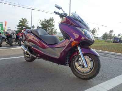 Honda Forza Z 2008