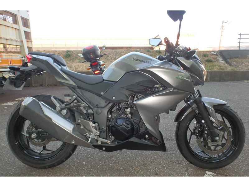 Kawasaki Z250 2017