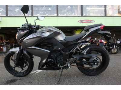 Kawasaki Z250 2017