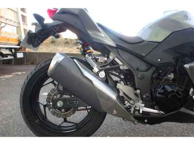 Kawasaki Z250 2017