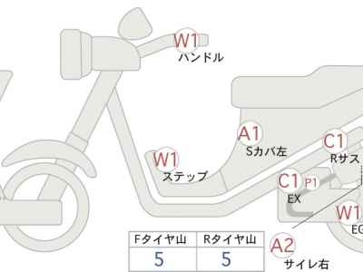 Kawasaki W800 2021