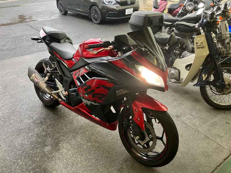 Kawasaki Ninja 250 2017