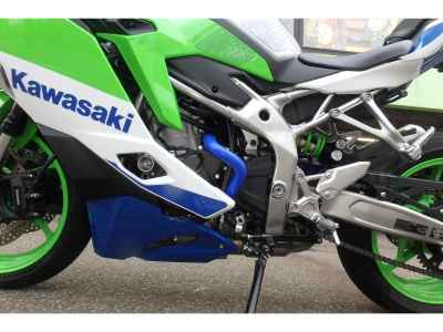 Kawasaki Ninja ZX-4 2024
