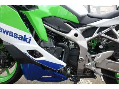 Kawasaki Ninja ZX-4 2024