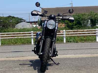 Triumph Scrambler 900 2019