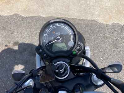 Triumph Scrambler 900 2019