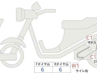 Kawasaki W800 2022