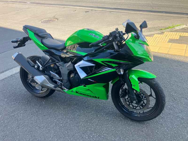 Kawasaki Ninja 250 2015