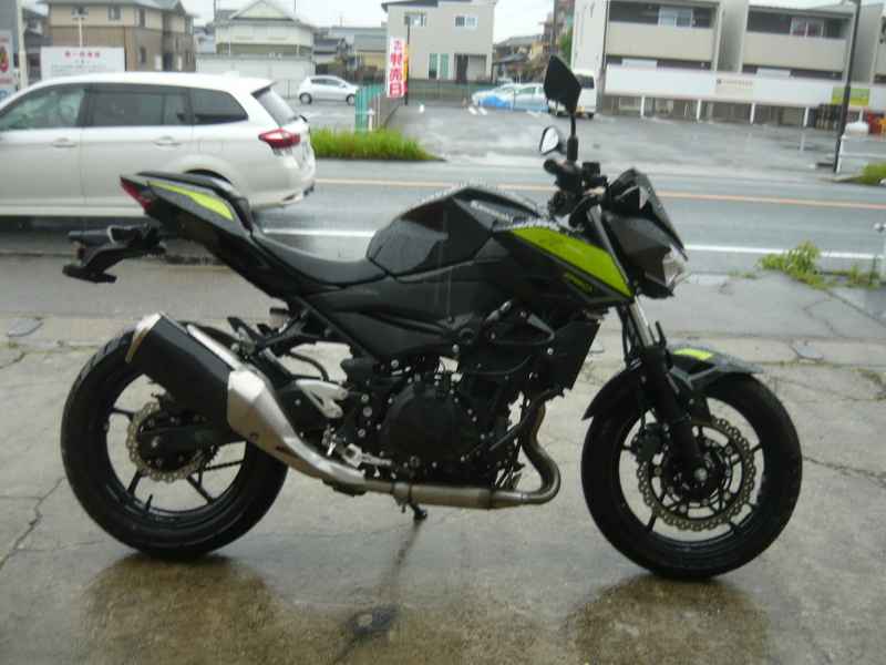 Kawasaki Z250 2022