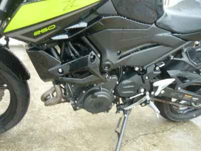 Kawasaki Z250 2022