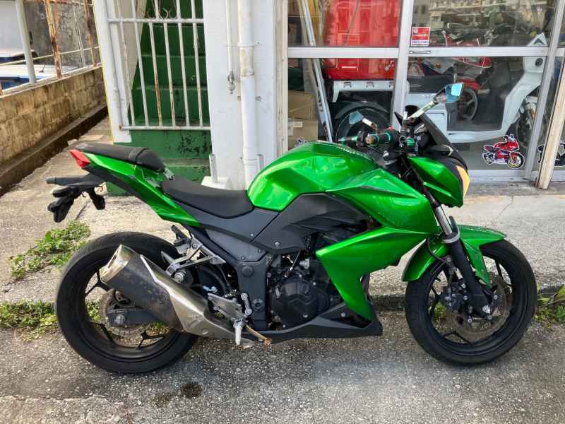 Kawasaki Z250 2013