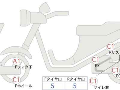 Kawasaki W800 2023