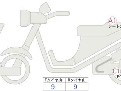 Harley-Davidson FLTRT Trike 2024