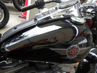 Harley-Davidson FLSTF SE2 2006